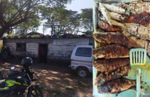 Best Fish Meal Hotel in Manipal?!